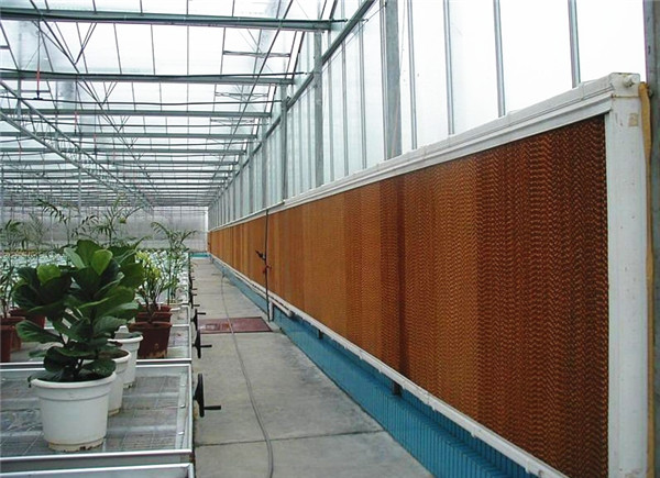 水簾需要多久進(jìn)行更換？